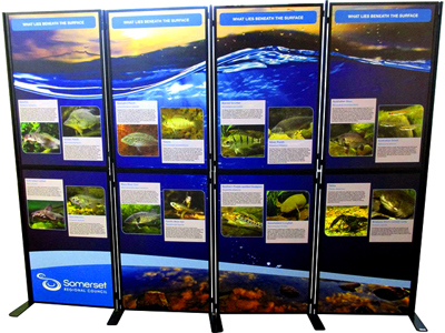 Portable Display Walls