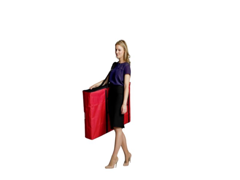 Presenter 600 carry bag