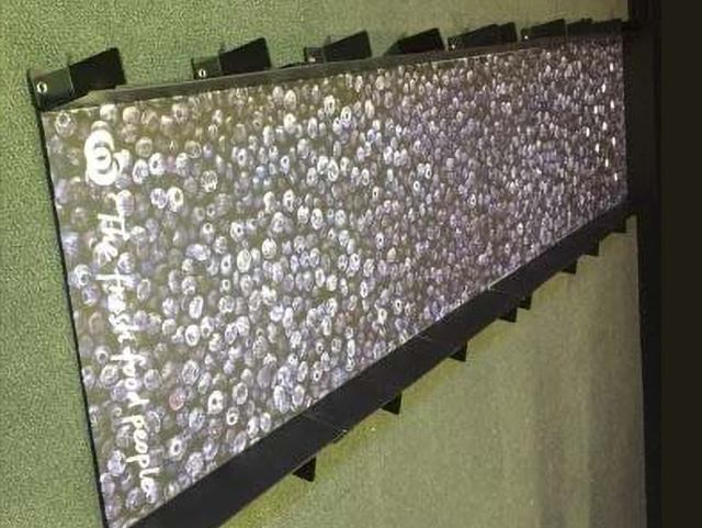 Portable Bowling Alley