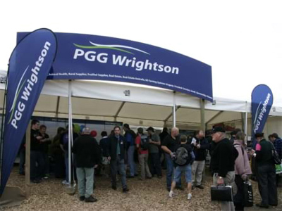 Teardrop Flags With Marquee