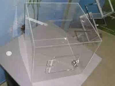 Perspex Display Boxes