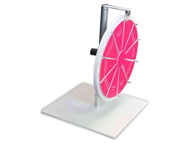 Prize Spinning Wheel